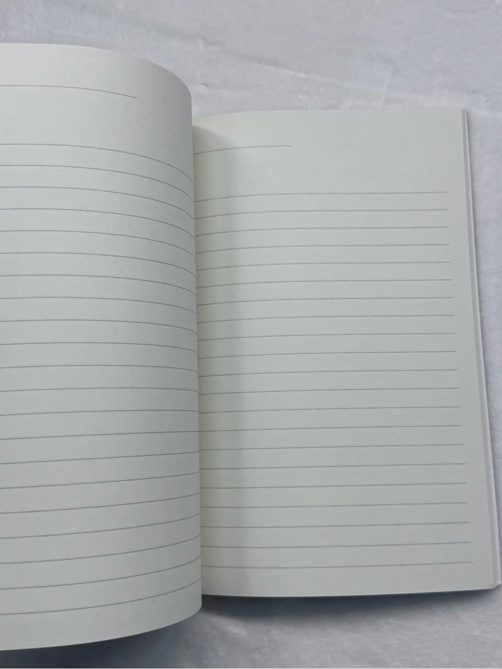 Definitely Not Evil Plans Black Notebook